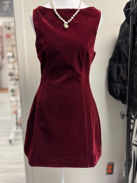Velour V Neck Dress