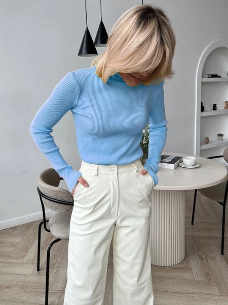 Basic Ribbed Turtleneck Top