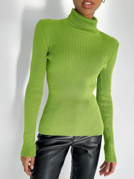 Basic Ribbed Turtleneck Top