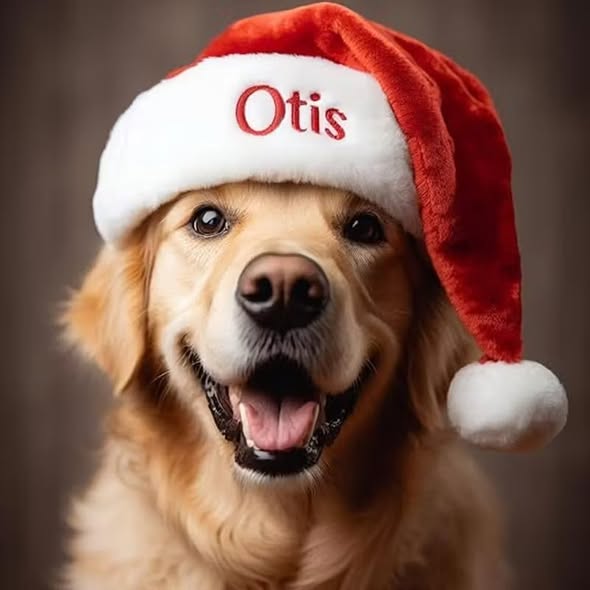 Personalized Christmas Hat