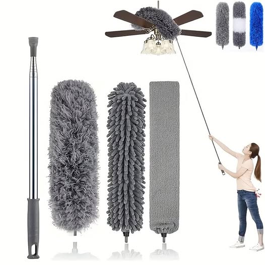 Extendable Duster