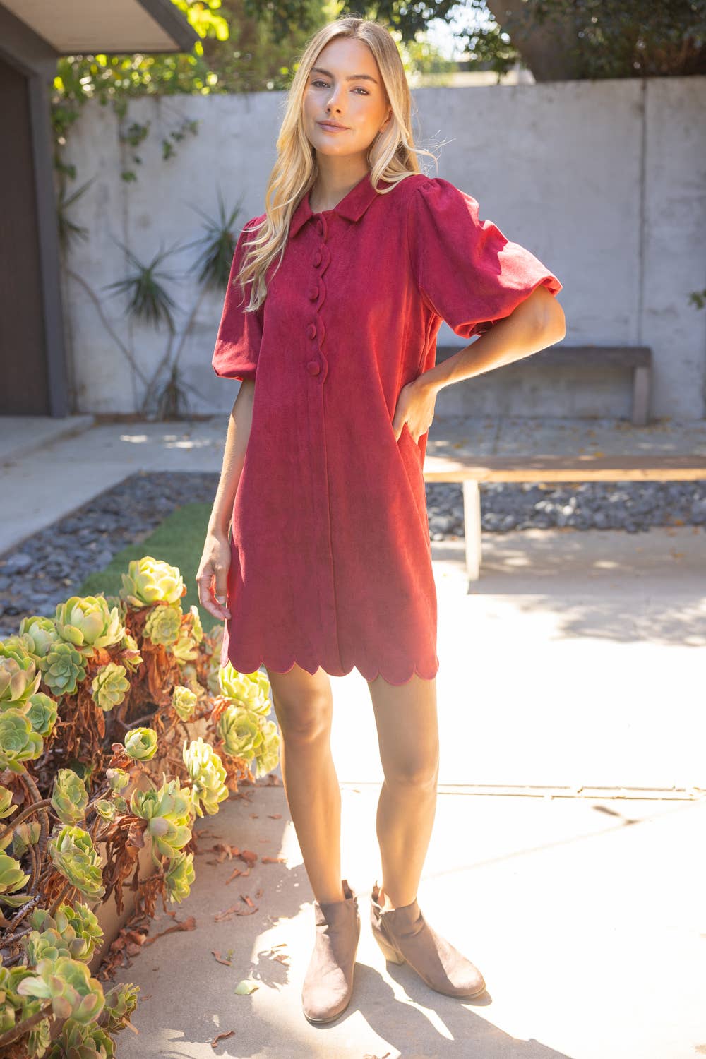 Scallop Collared Shift Dress