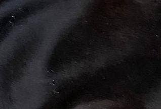 Mia Clutch in Cowhide Hairon Leather