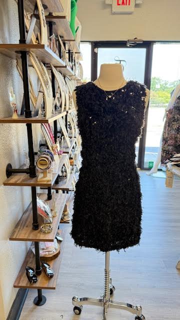 Black Feather Dress