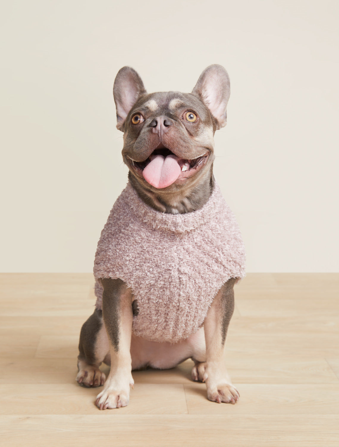 Barefoot Dreams CC Ribbed Pet Sweater