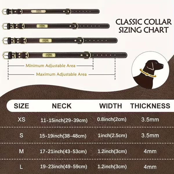 Personalized Leather DOG Collar