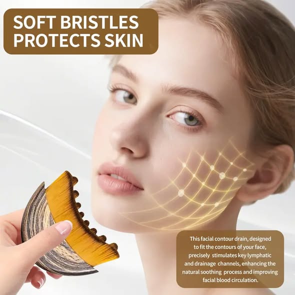 Lymphatic Brushes
