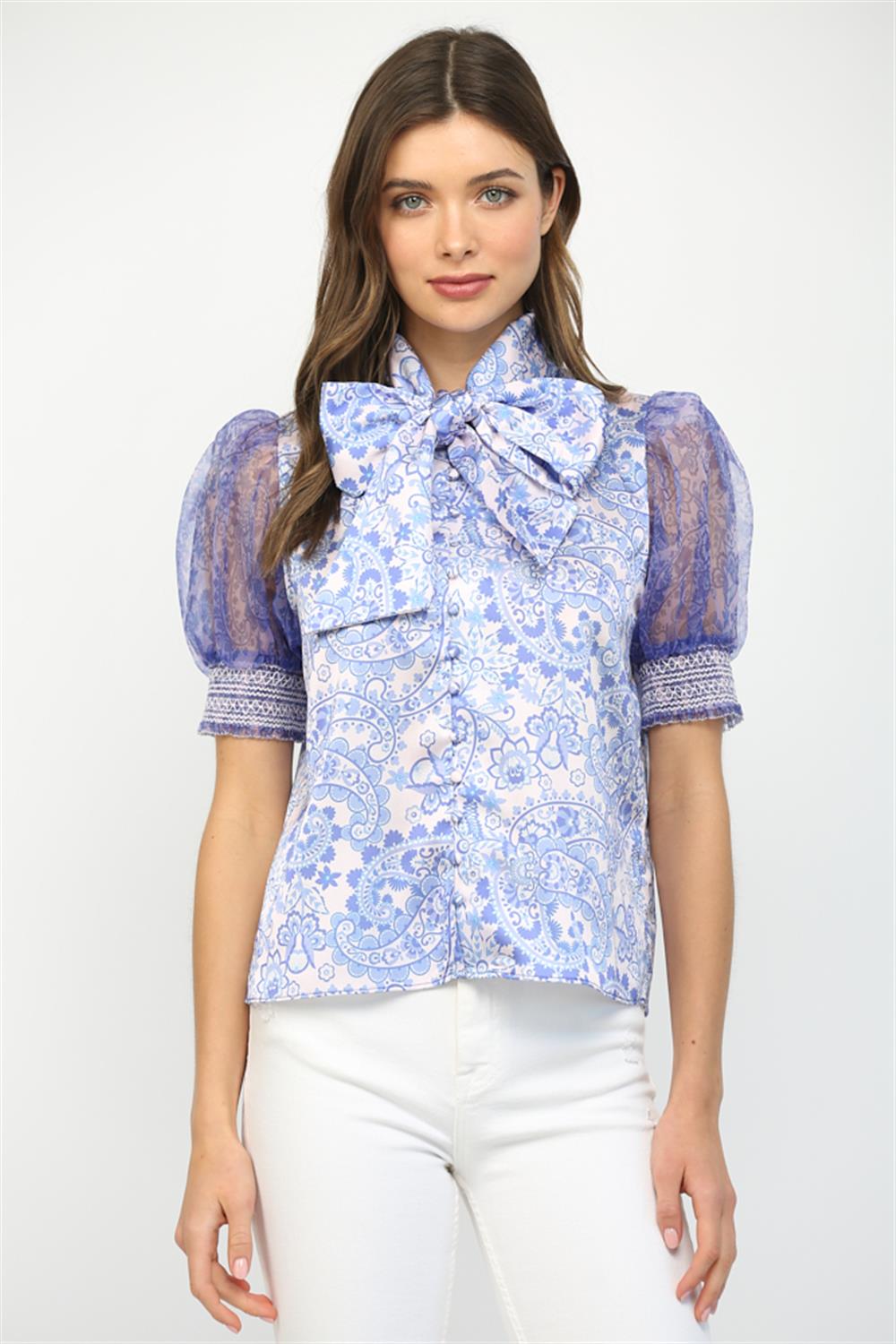 Sheer Sleeve Bow Blouse
