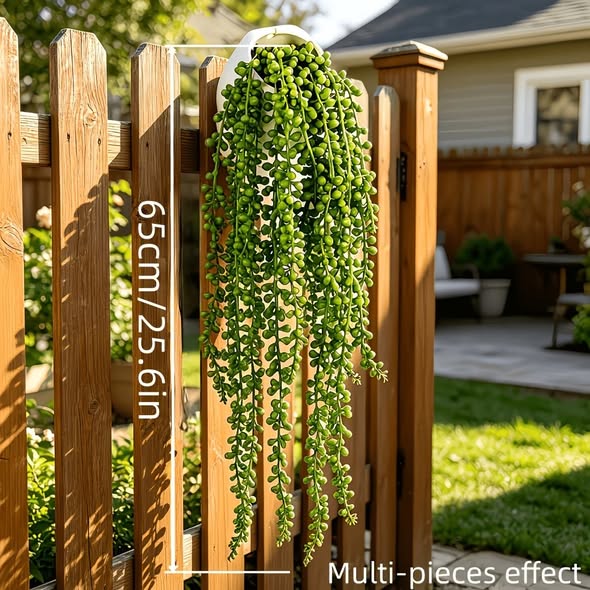 Weeping Rattan Vines