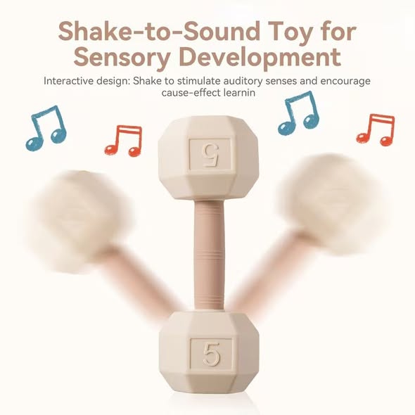 Baby Sensory Shaker Dumbells