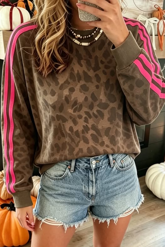Pop Of Pink Leopard Stripe Sweatshirt