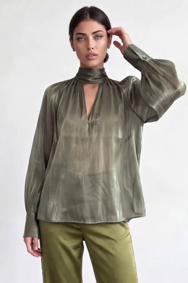 Organza Sheer Tie Blouse