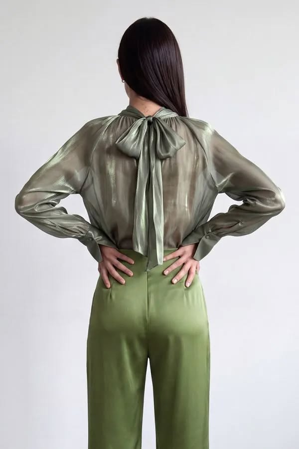 Organza Sheer Tie Blouse
