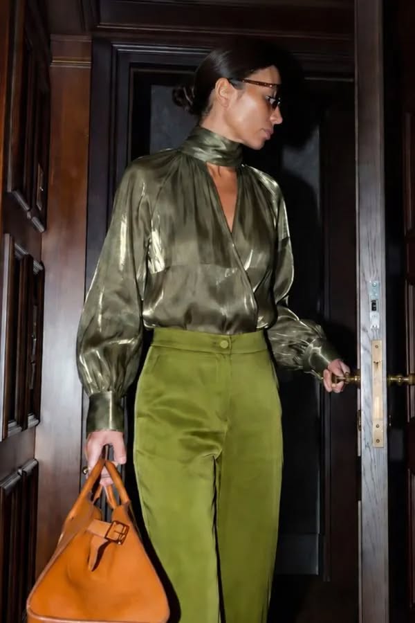 Organza Sheer Tie Blouse